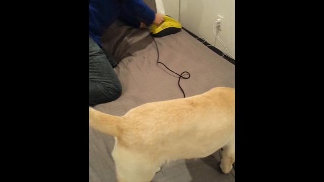 How to use Carewin HC-600 UV-C Vacuum Cleaner on bedding by Best Home Fashion смотреть онлайн