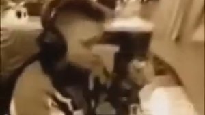 Ес минус три уху - ес минус 3 юхуу мем тик ток