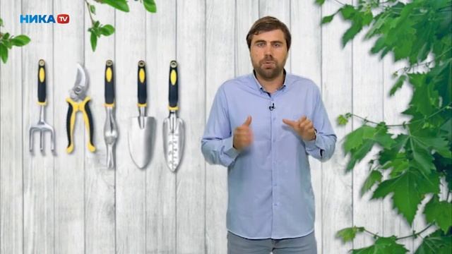 Выбираем газонокосилку для участка смотреть онлайн