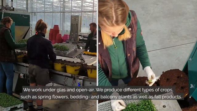 The Mayer TM 2700XL At Horticultural Farm Van De Meer