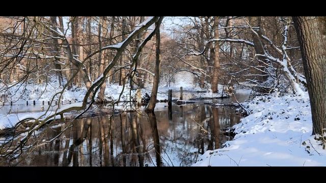Canon XA 50 - Nettetal im Schnee 2021 смотреть онлайн