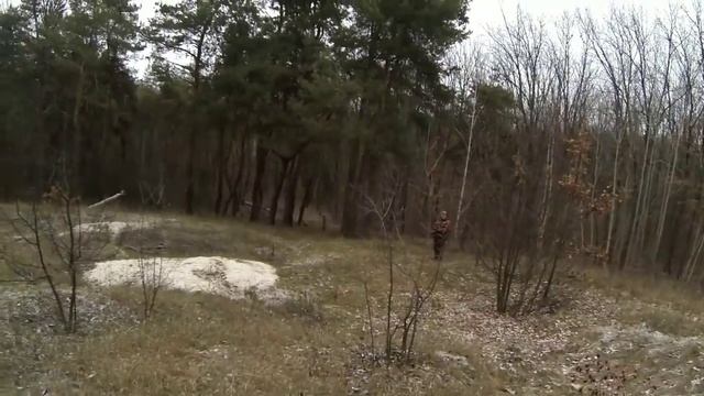 Охота с ягдтерьером, 2 лисы. Fox Hunt with Jagdterrier смотреть онлайн