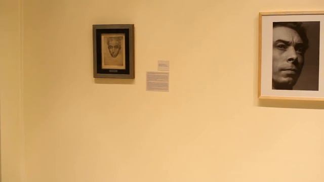 2014. Ladrón del fuego. Gómez Cornet. Fotografía & modernidad. смотреть онлайн