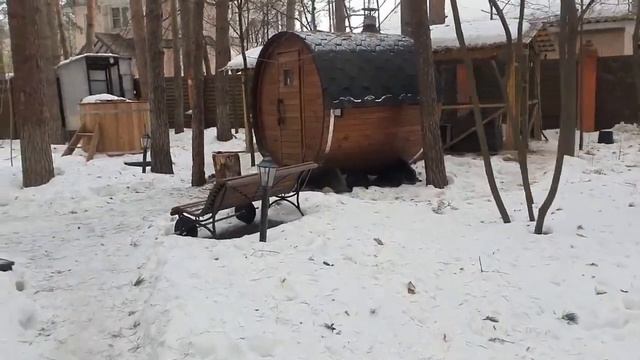 Алиса - Лиса / Прикольные Моменты с Алисой ч. 225 / Alice the Fox смотреть онлайн