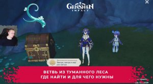 Геншин Импакт ➤ Ветвь из Туманного леса ➤ Где найти и для чего нужны ➤ Прохождение Genshin Impact