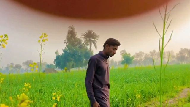 Dako ny bachy ko loot liya 😭Tui Tui Comedy Video😂DONT MISS THIS EPISODE смотреть онлайн