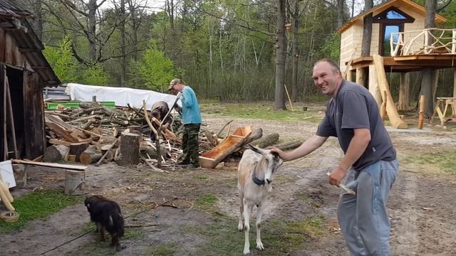 Крыши хватит на все наши проекты .Строим ограждение на террасе . Яйца бентамки заложили в инкубатор смотреть онлайн