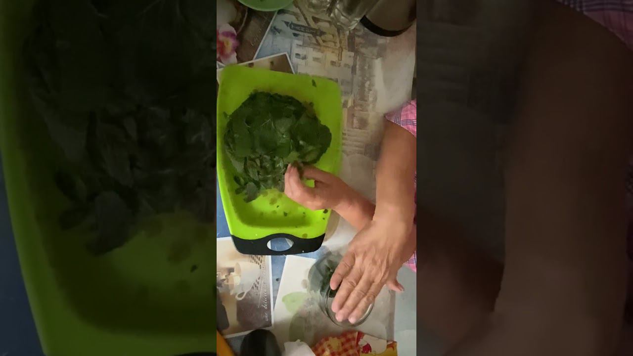 Ферментация листа ежевики