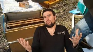 Как быстро нарастить пчел весной.Ускоренное развитие пчелиных семей весной на па