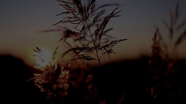 МОУ №72 г.Донецка "Звонок для Ангелов Донбасса" смотреть онлайн