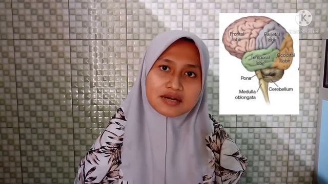 Neurolinguistik смотреть онлайн