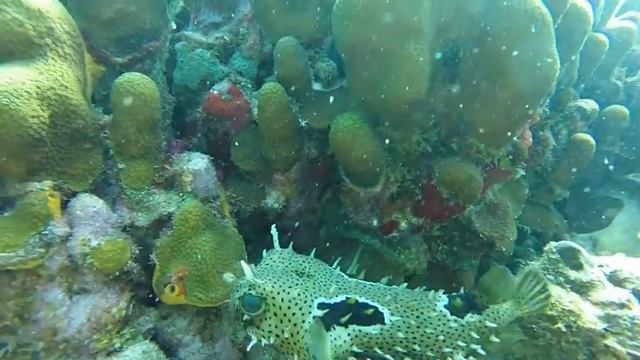 Спокойная, расслабляющая музыка для сна и медитаций на пианино, для детей. смотреть онлайн