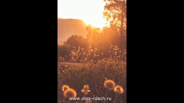 Стихия Огонь смотреть онлайн