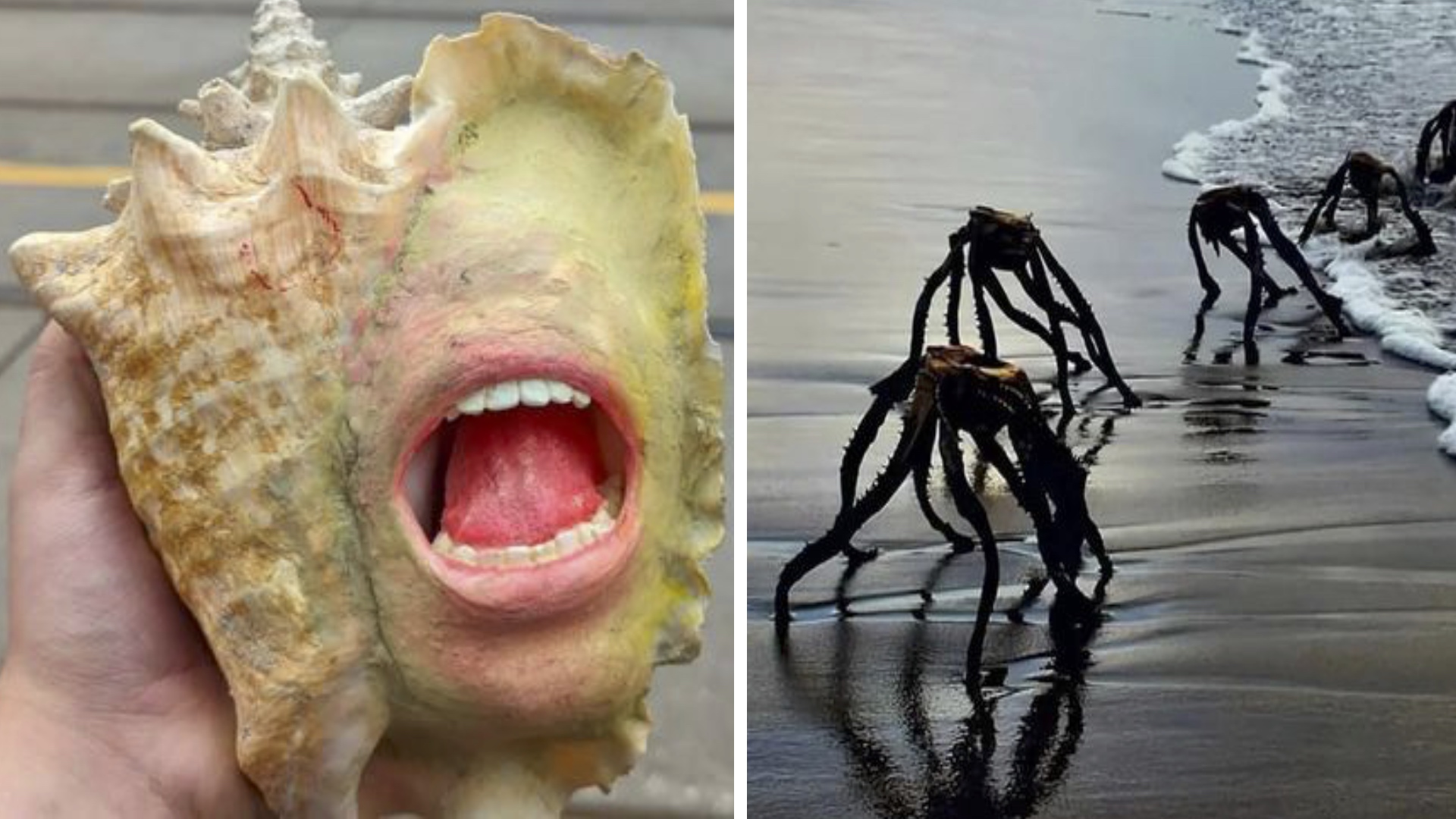 Смотреть на ночь только с валерьянкой! смотреть онлайн