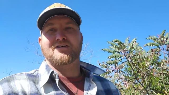 I NEED TO DO THIS tiny house, homesteading, off-grid, cabin build, DIY, HOW TO, sawmill, tractor смотреть онлайн