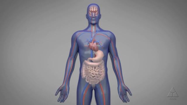 Зачем отправлять в космос близнецов? смотреть онлайн