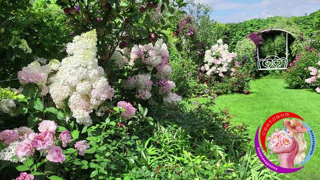 Саженцы для Вас! Каталог  в вацапе.