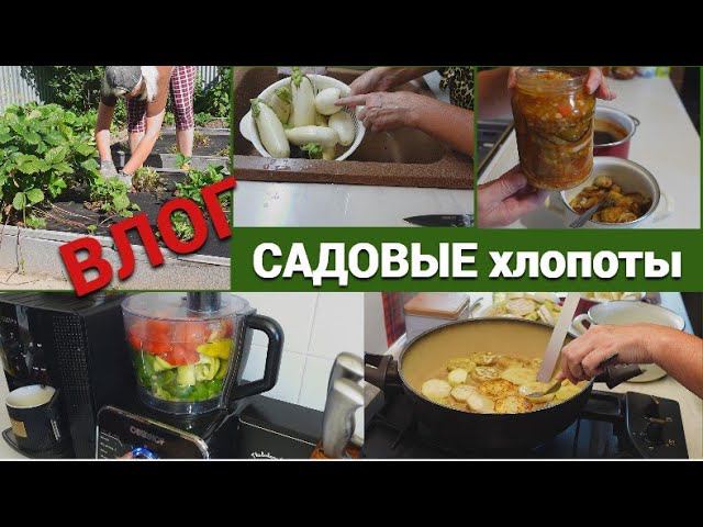 Влог/Садовые хлопоты/Птички принесли новое растение/Баклажаны в заливке на зиму@SubTatiana смотреть онлайн