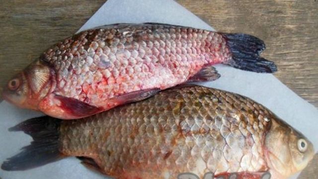 Кухня Мамашки