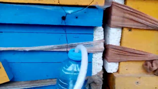 2024-02-23 Поилки работают. Значит расплод уже есть.