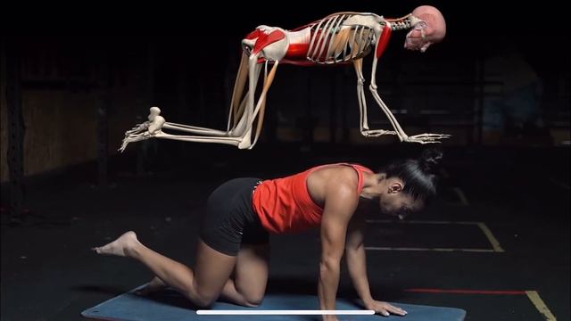 Квадроплекс- упражнение для разгибателей спины, мышц брюшного пресса, тазового дня и диафрагмы смотреть онлайн