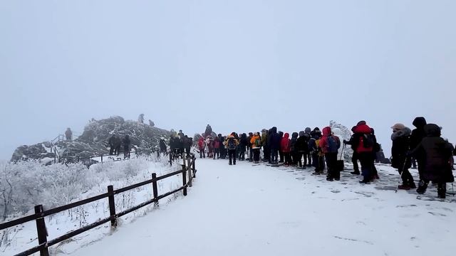 최소 등산, 최대 만족! ❄️ 국내 최고의 설경은 이곳 입니다 | 🚍당일치기 대중교통 여행코스 6 | Best Winter mountain Snow View in Korea смотреть онлайн