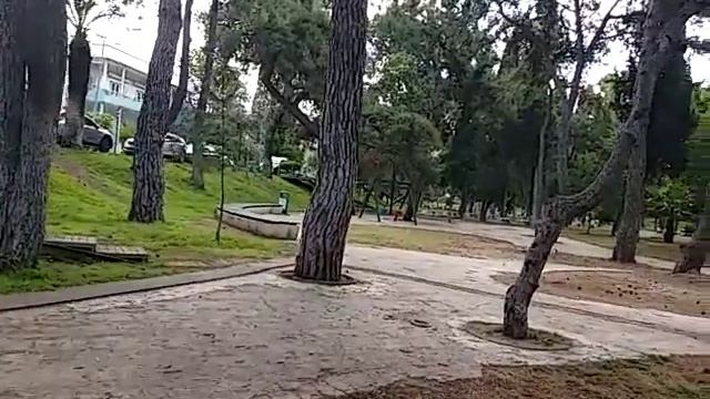 ДОМ КОШЕК (КЕДИ ЕВИ)В ПАРКЕ РЯДОМ С КОНСУЛЬСТВОМ РОССИИ В АНТАЛИИ ! смотреть онлайн