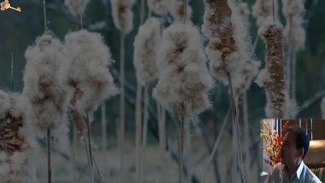 Есть одна простая вещь для исцеления всей твоей жизни [Саламат Сарсекенов / Просветление / Сатсанг] смотреть онлайн