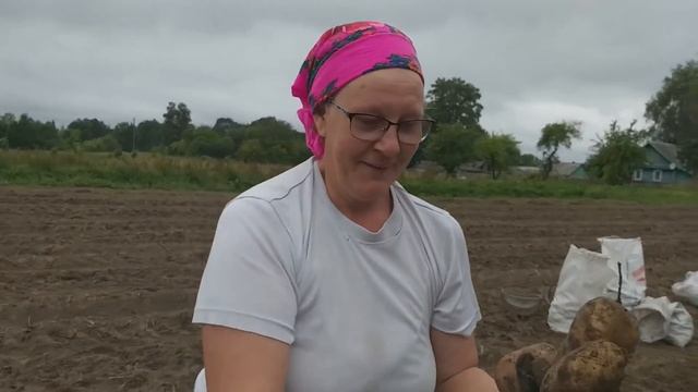 1 МИЛЛИОН ЗА СЕЗОН В ДЕРЕВНЕ!!!Сколько можно заработать на продаже картофеля... смотреть онлайн