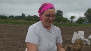 1 МИЛЛИОН ЗА СЕЗОН В ДЕРЕВНЕ!!!Сколько можно заработать на продаже картофеля...