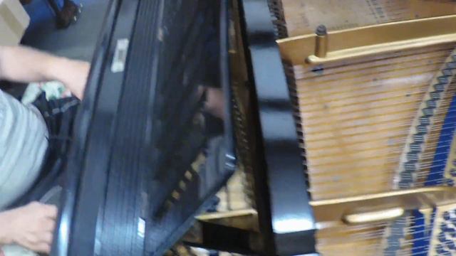 Fall in Love with a BLÜTHNER grand piano! смотреть онлайн