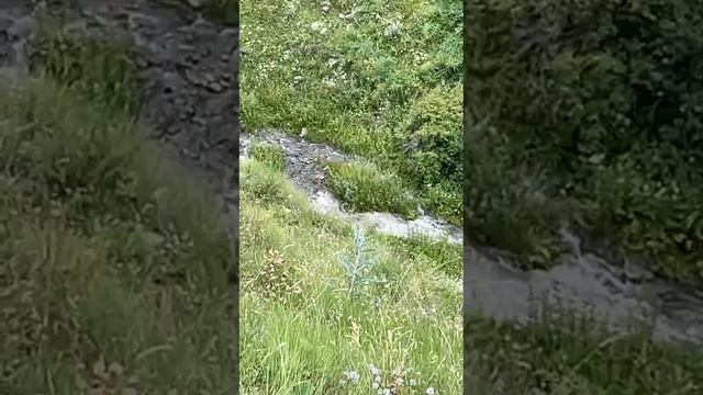 КУГ!ада смотреть онлайн