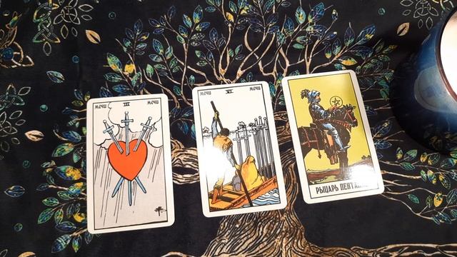 Таро прогноз на 29 декабря?( утро день вечер) смотреть онлайн