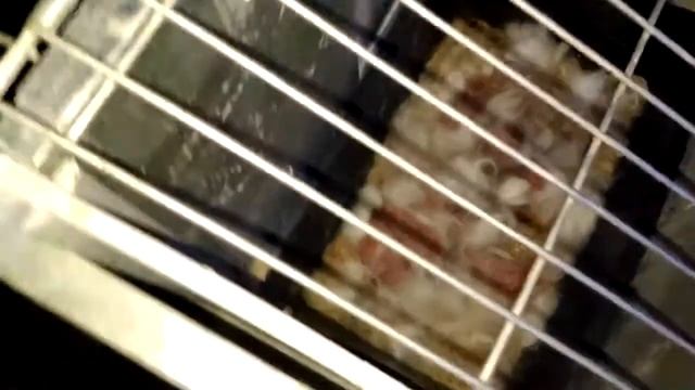 Лампа инсектицидная от мух и комаров испытание смотреть онлайн