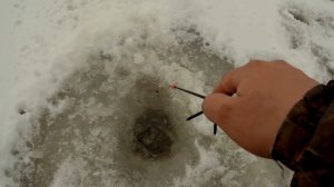 На Плотву в Марте. Ловля весенней плотвы на реке