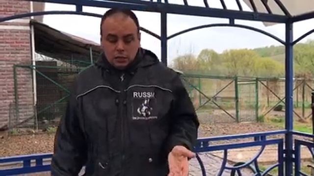 Алексей Дорофеев о породе смотреть онлайн