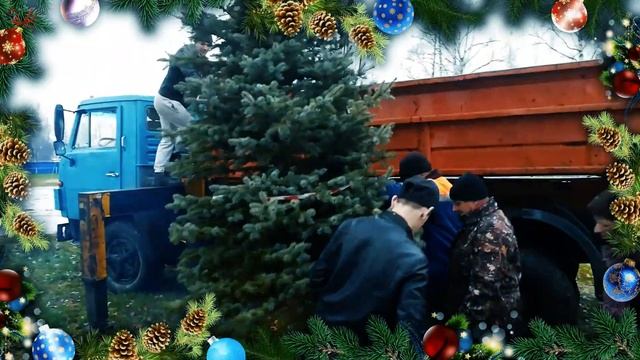2019 год. Из лесу ёлочку взяли мы домой. смотреть онлайн