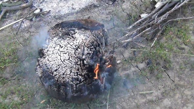 Как защитится от КОМАРОВ и МЕДВЕДЯ смотреть онлайн