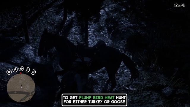 Red Dead Redemption 2 Herbalist 10 Challenge Guide [SPOILERS] смотреть онлайн