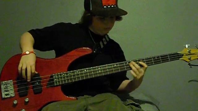 When You Were Young by The Killers, Bass Cover смотреть онлайн