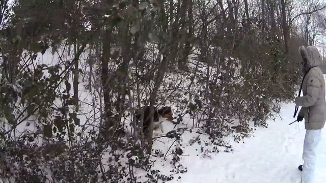 Пришла Зима / Людские и собачьи радости ) смотреть онлайн