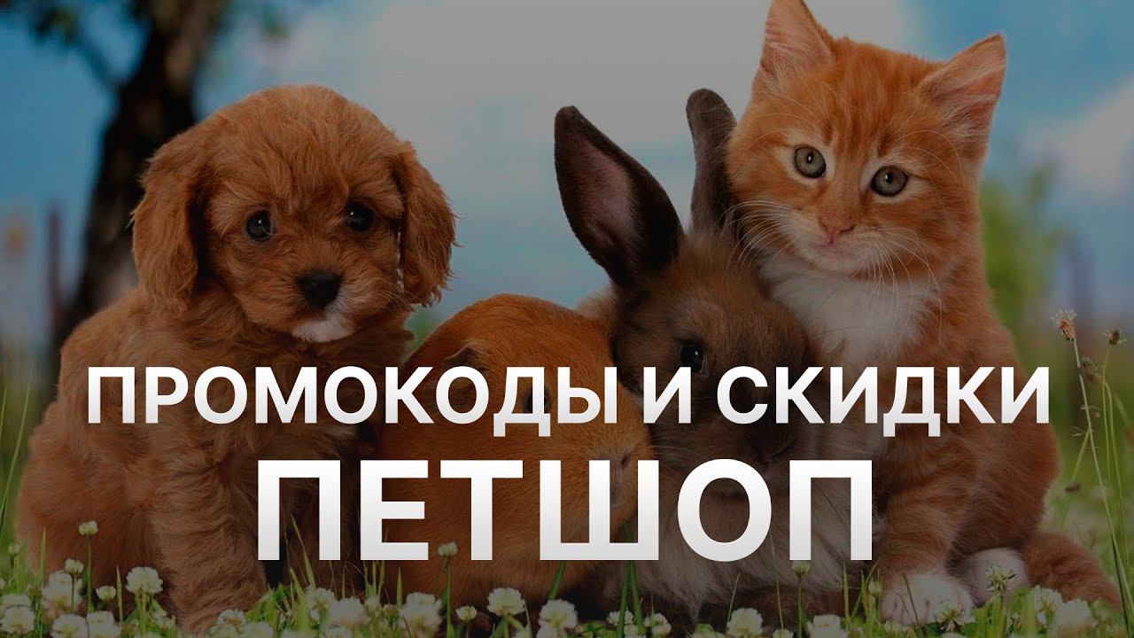 Промокод Petshop на заказ - Купон Петшоп 10% - Скидка Петшоп 2024 смотреть онлайн