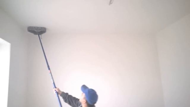 Щетка для снятия пыли Вустер смотреть онлайн