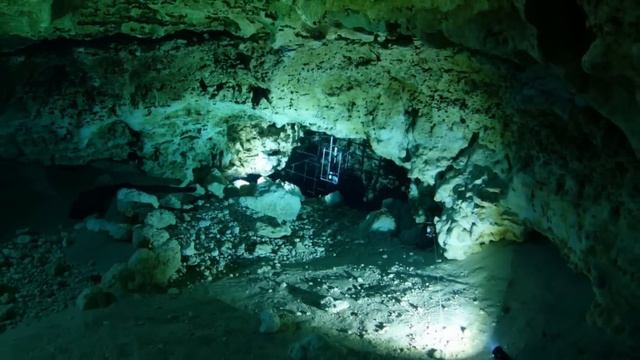 40,000 LUMENS IN GINNIE смотреть онлайн