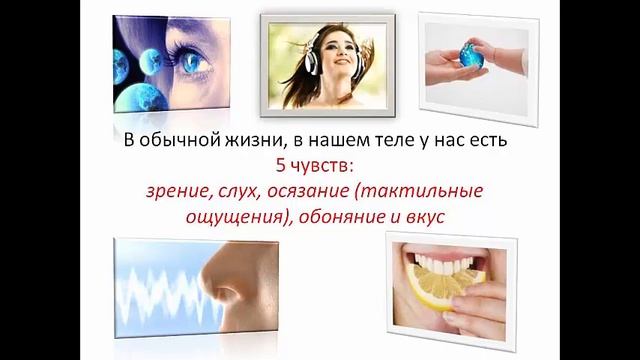 Учение Аркадия Наумовича Петрова Древо Жизни Что такое сознание смотреть онлайн