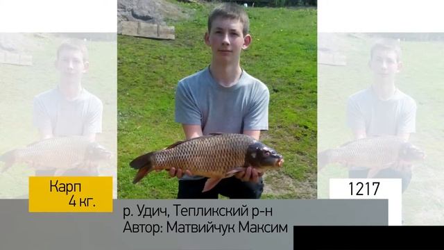 Фотоальбом - Рыбалка №243 смотреть онлайн