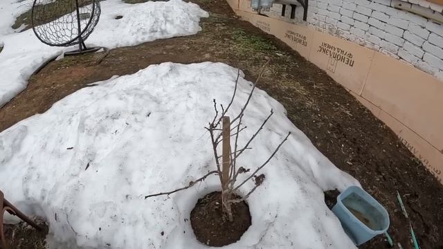 Как перезимовал бассейн и обзор участка по последнему снегу смотреть онлайн