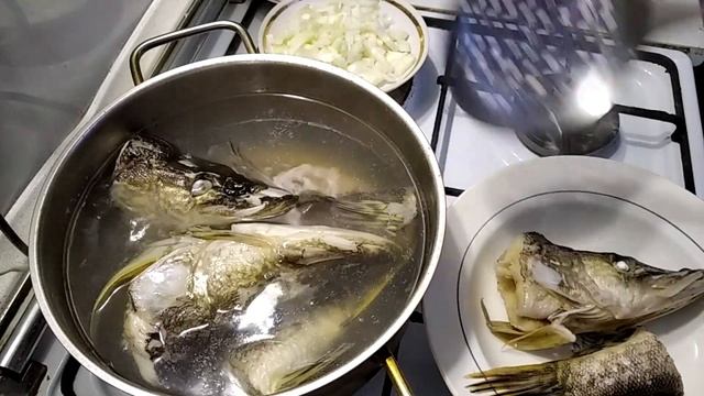 Наука о Здоровье и Жизни