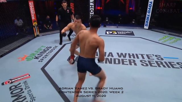 Adrian Yanez | Highlights смотреть онлайн
