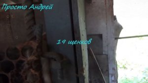 НУТРИЯ ВАШЕ ЗАБЛУЖДЕНИЕ ПРИ СОДЕРЖАНИЕ НУТРИИ НЕ ПОВТОРЯЙТЕ  МОИ ОШИБКИ